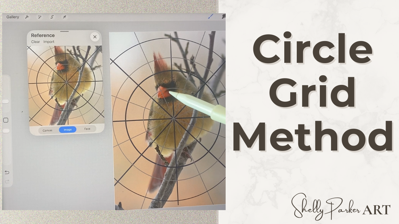 Circle Drawing Grid – Procreate File (Free Download)