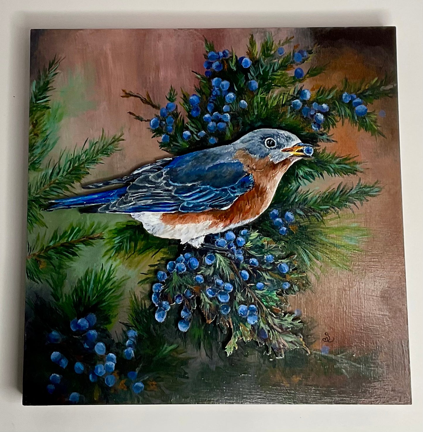 Eastern Bluebird – Bird Wildlife Mixed Media Art (12×12 Original)