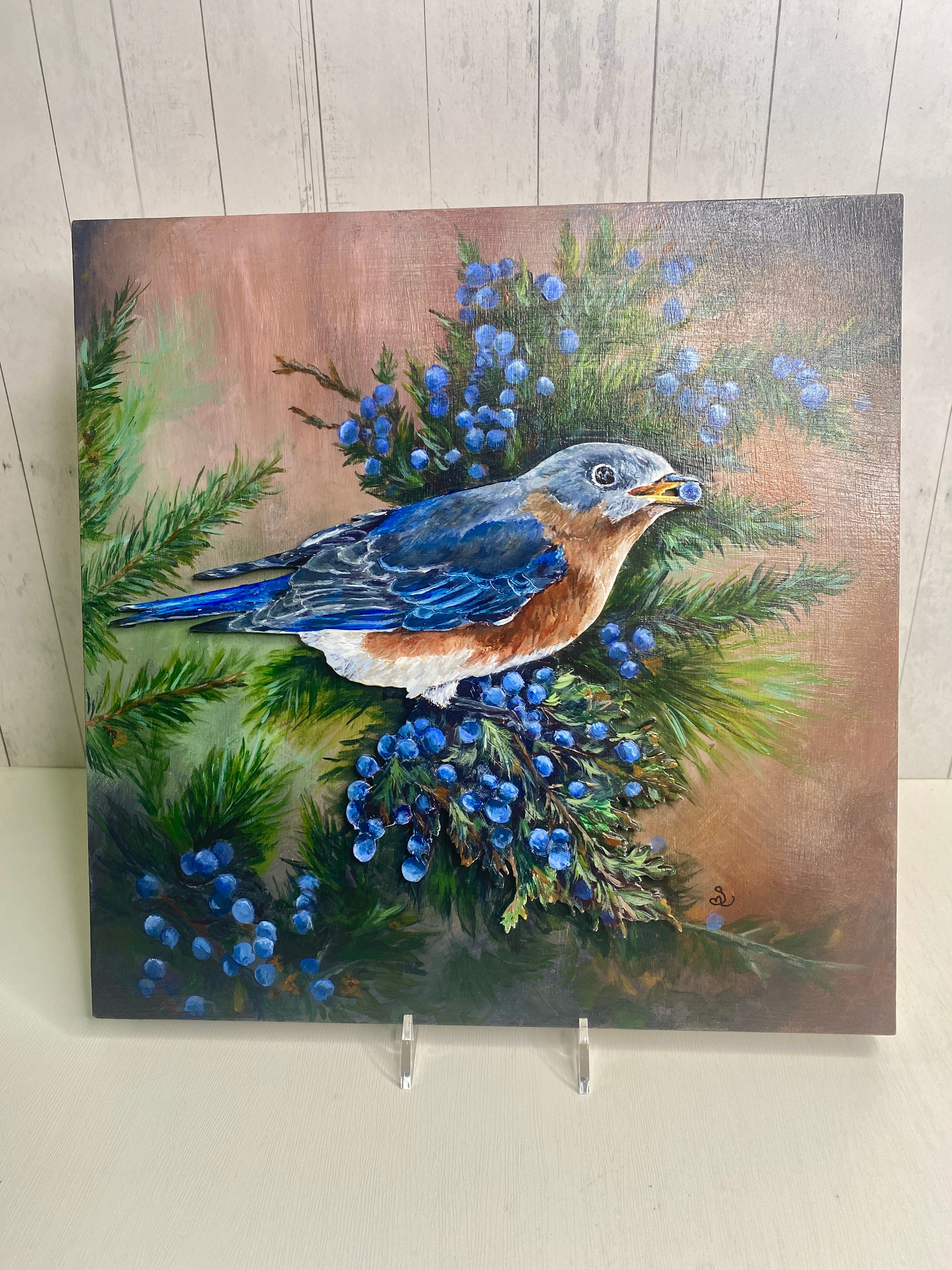Eastern Bluebird – Bird Wildlife Mixed Media Art (12×12 Original