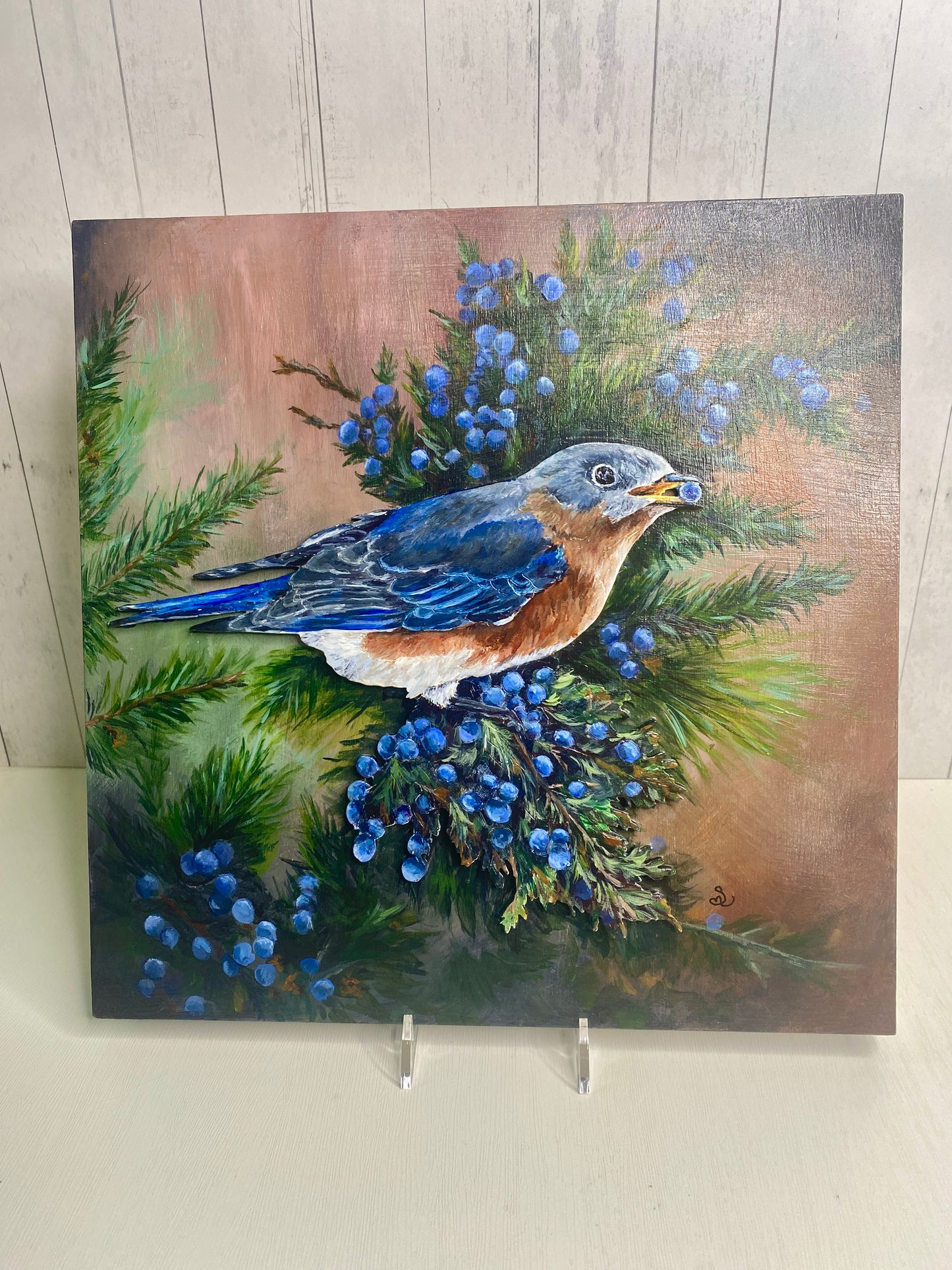 Eastern Bluebird – Bird Wildlife Mixed Media Art (12×12 Original)