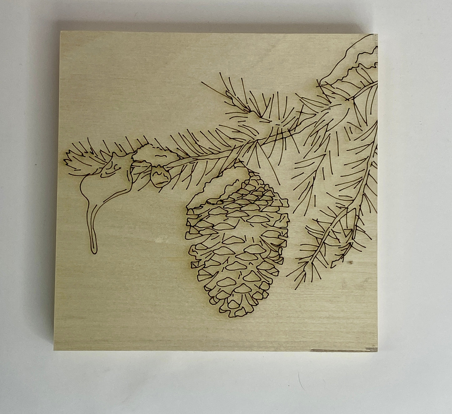 Snowy Pinecone Branch – Engraved Art Base