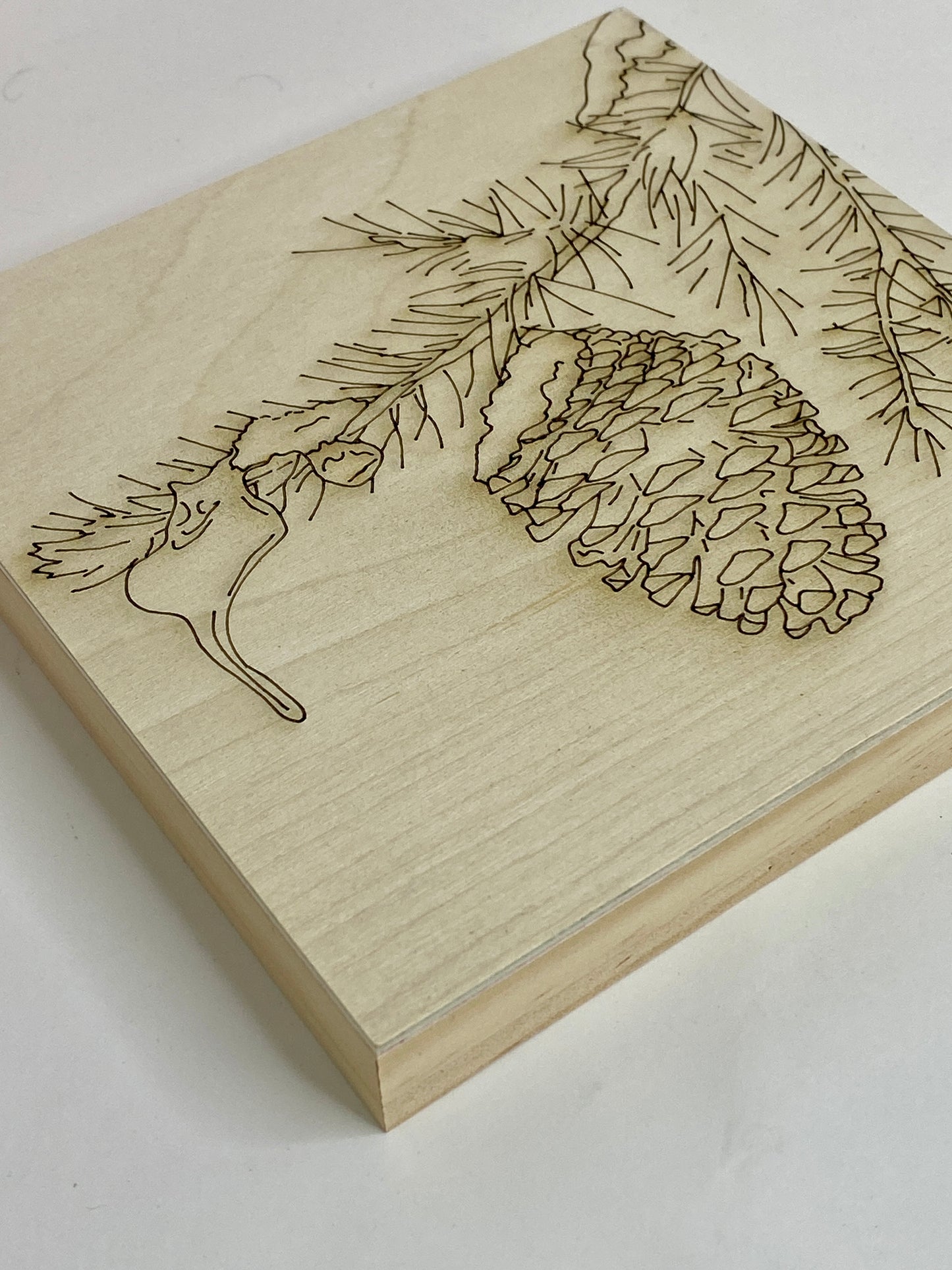 Snowy Pinecone Branch – Engraved Art Base