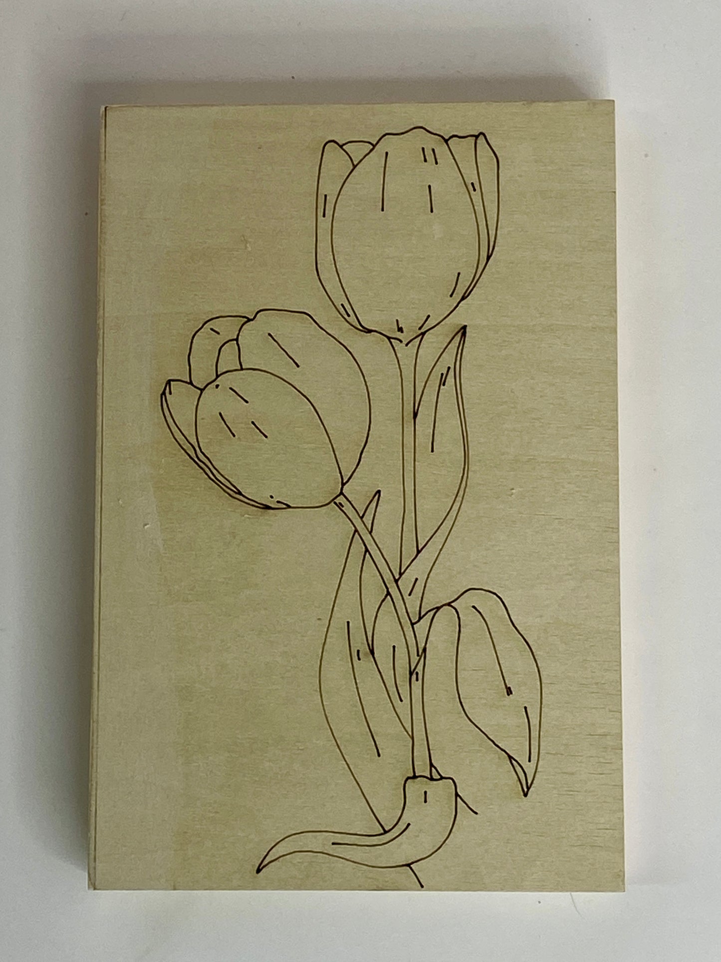 Tulips – Engraved Art Base