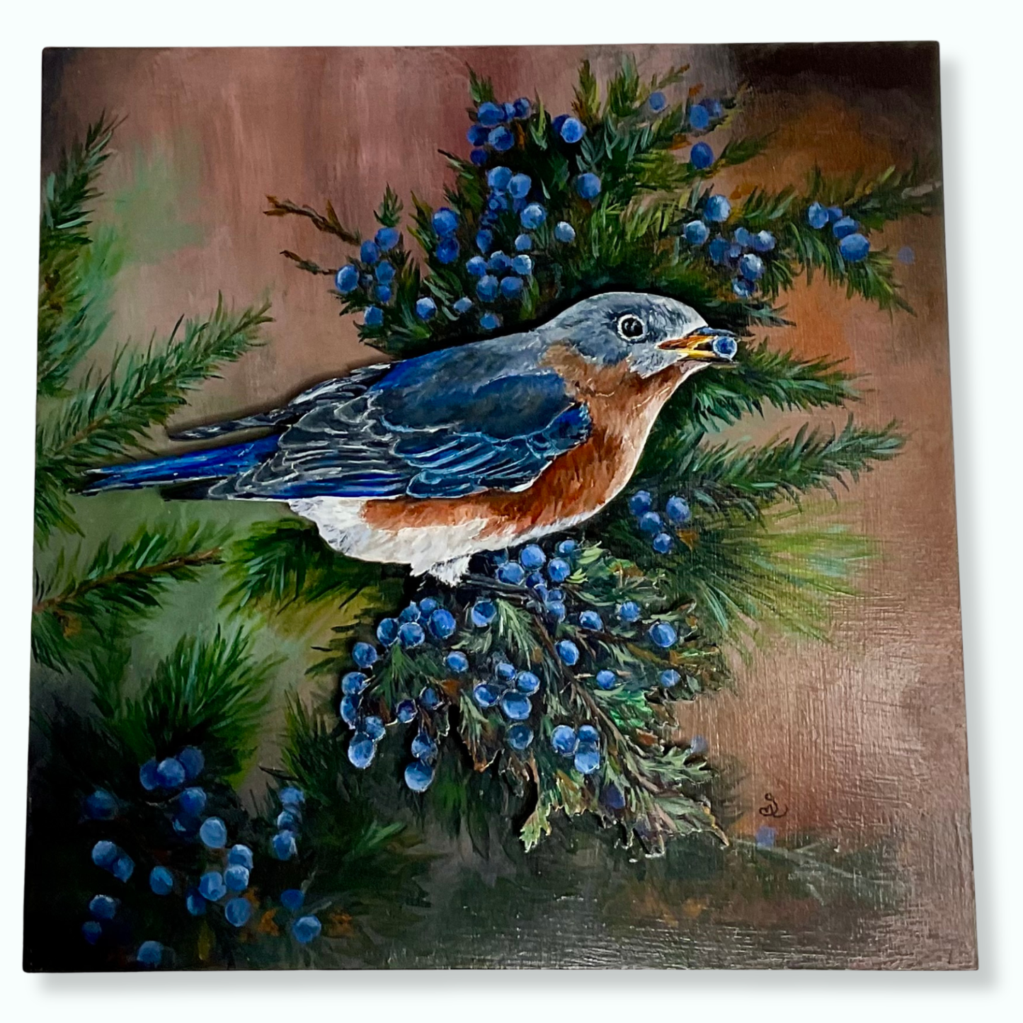 Eastern Bluebird – Bird Wildlife Mixed Media Art (12×12 Original)