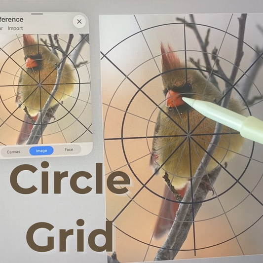 Circle Drawing Grid – Procreate File (Free Download)